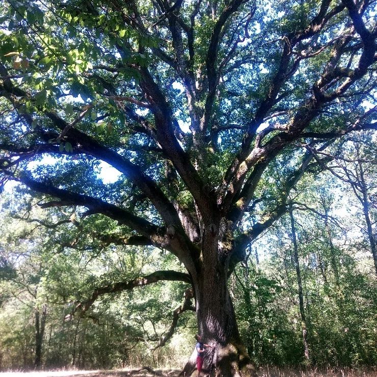 298180120 614419136949554 6788021961307372222 N